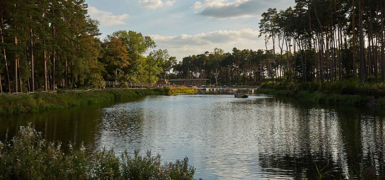 A view of the lake surrounded by trees