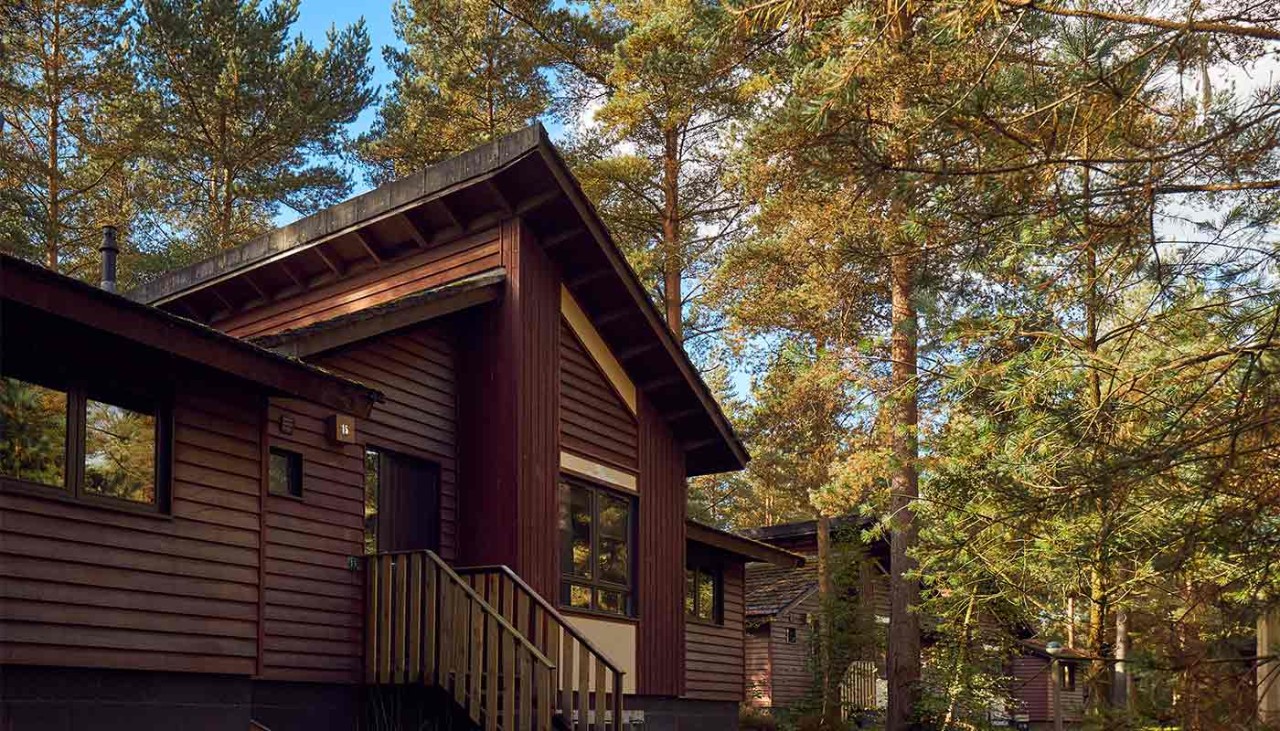 The wooden exterior of a four bedroom woodland lodge