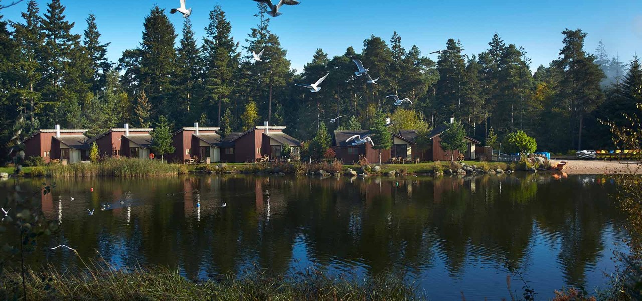 view of lake with birds flying above and executive lakeside lodges in the distance
