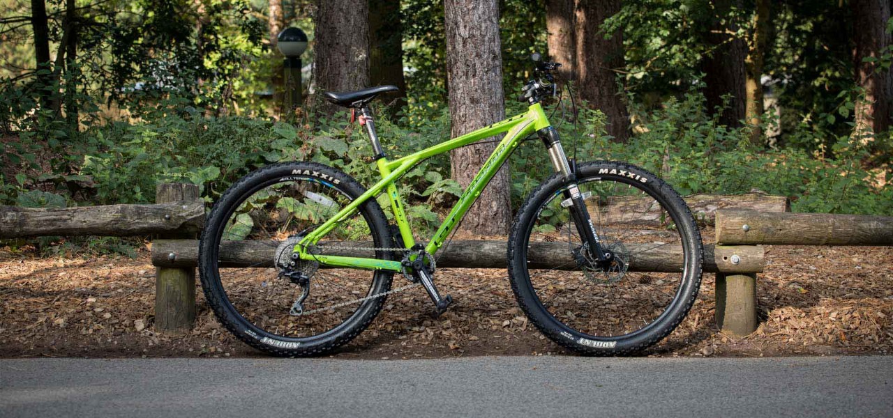 Green bike stood up in  forest setting 