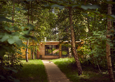 A view through the trees of the exterior of an executive lodge 