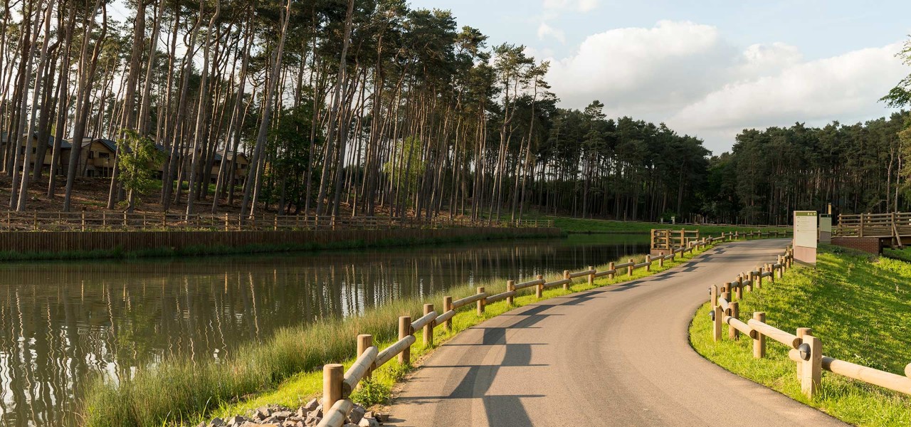 View across paths and lake at Woburn