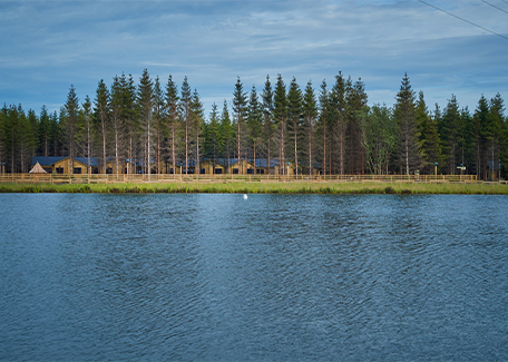 Lodges and trees overlooking a lake 