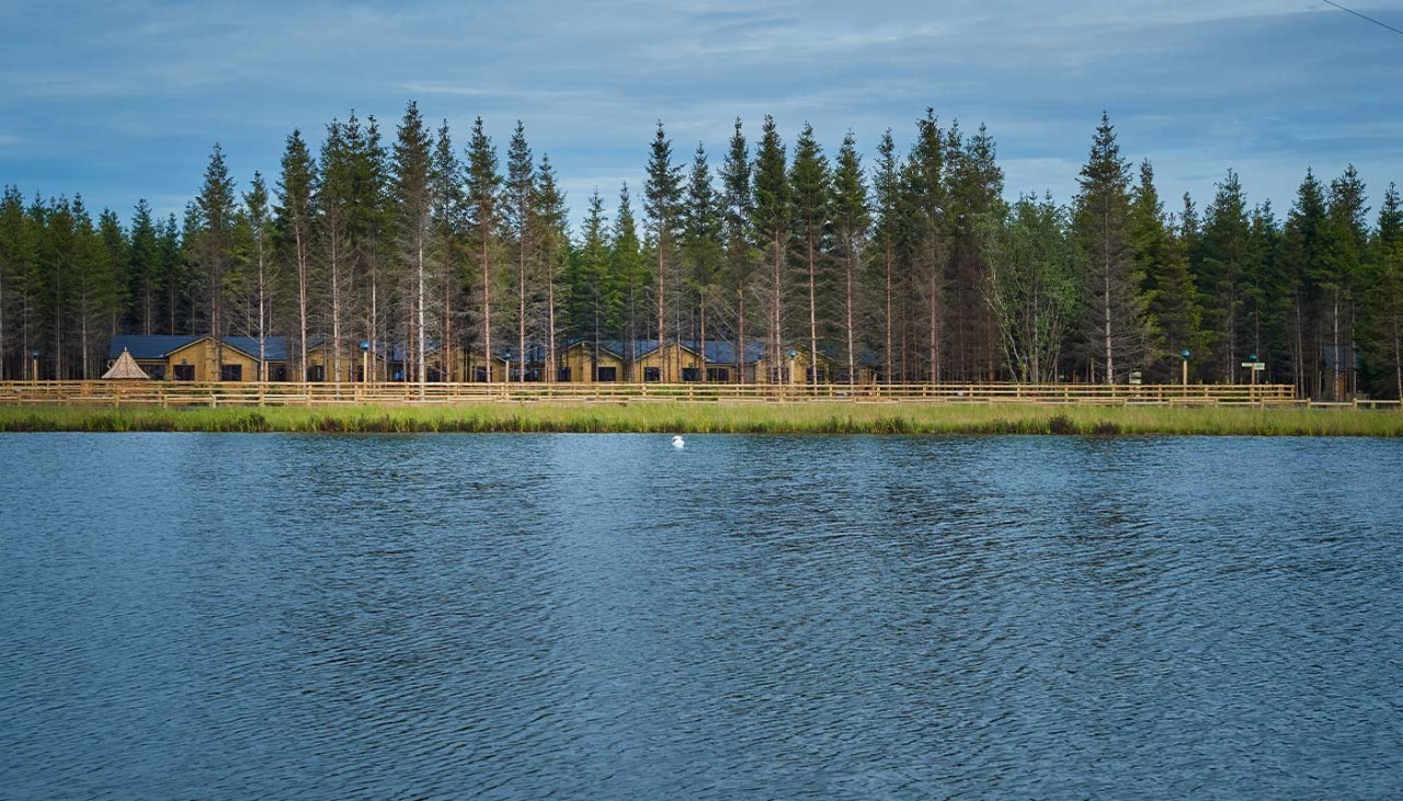 Lodges and trees overlooking a lake 