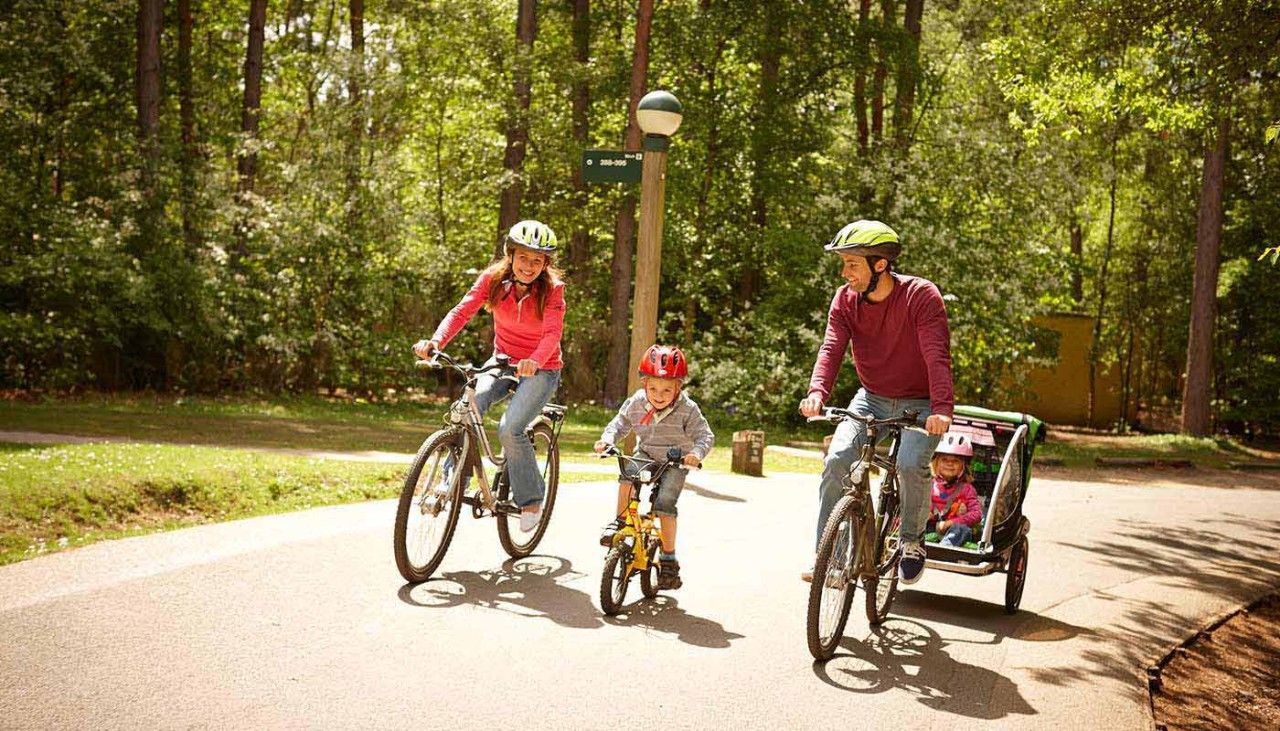 Family cycling down a path with trees to the left and back of them