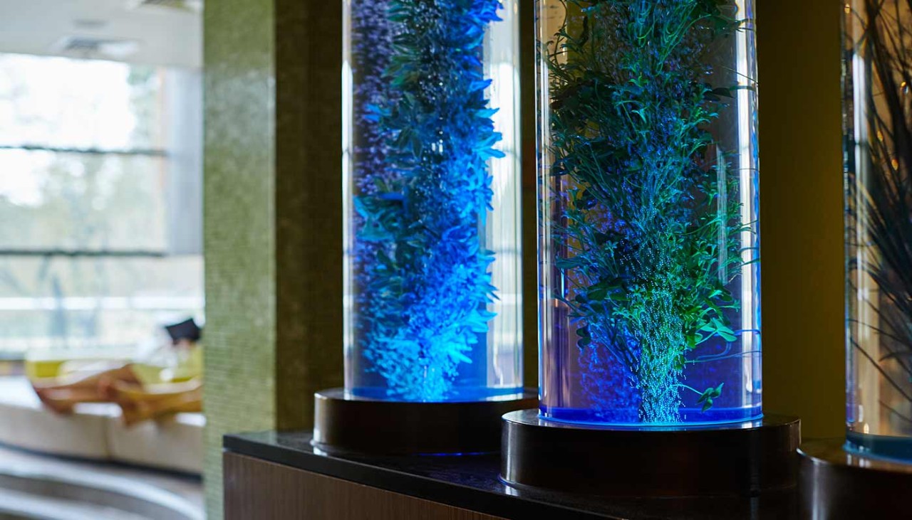 Two cylinders filled with water and plants and colour lights shining in them on a side in the Aqua Sana 