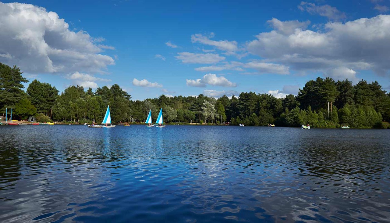 View of lake at Sherwood Forest with boats on it with sails up and forest in the distance