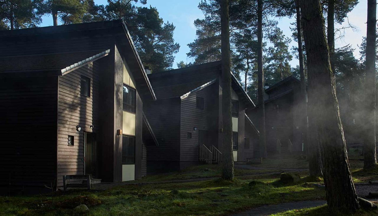 Exterior view of 3 lodges at Whinfell Forest with trees in front of them