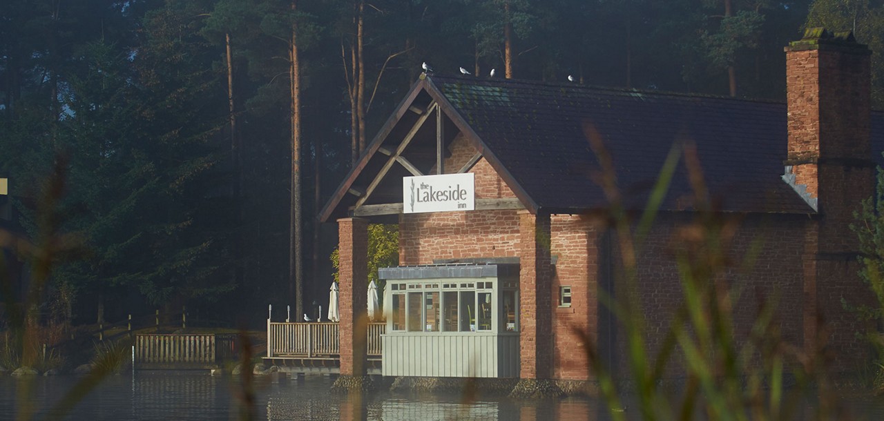 Brick lakeside inn rests with gulls perched on the roof, facing calm water; a wooden deck and dense pine forest surround it. Text: the Lakeside inn.