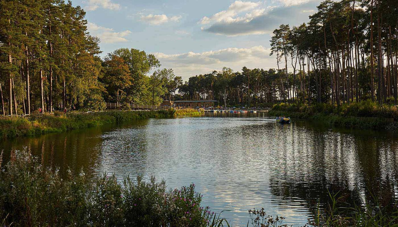 Woburn lake with trees either side