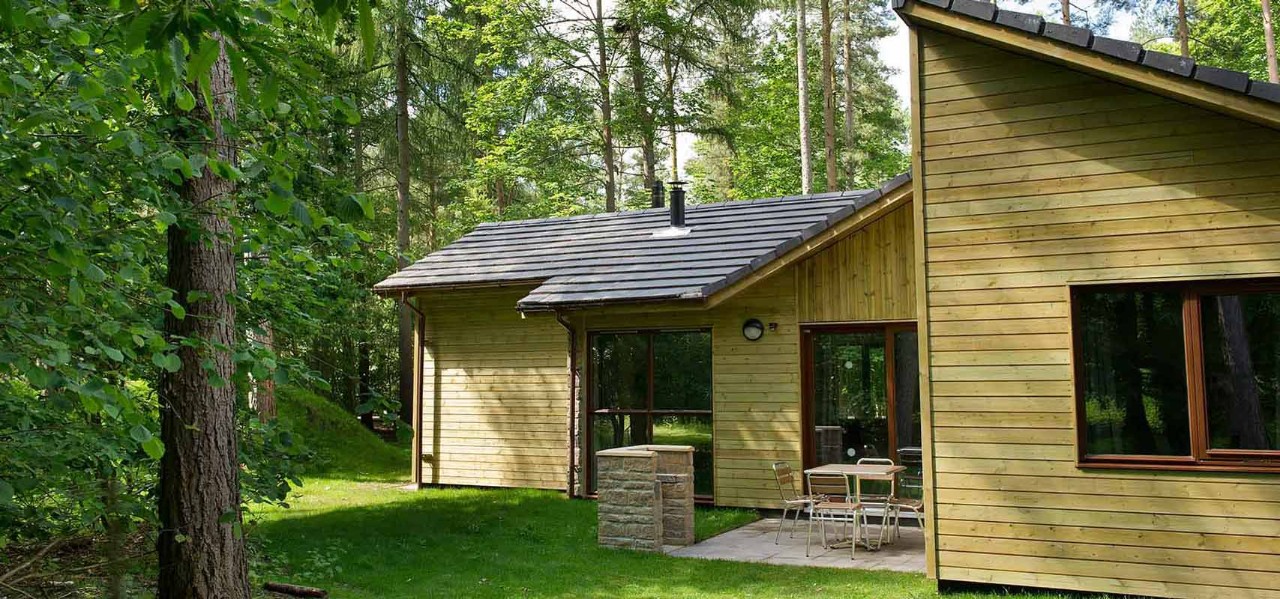 lodge with trees surrounding it