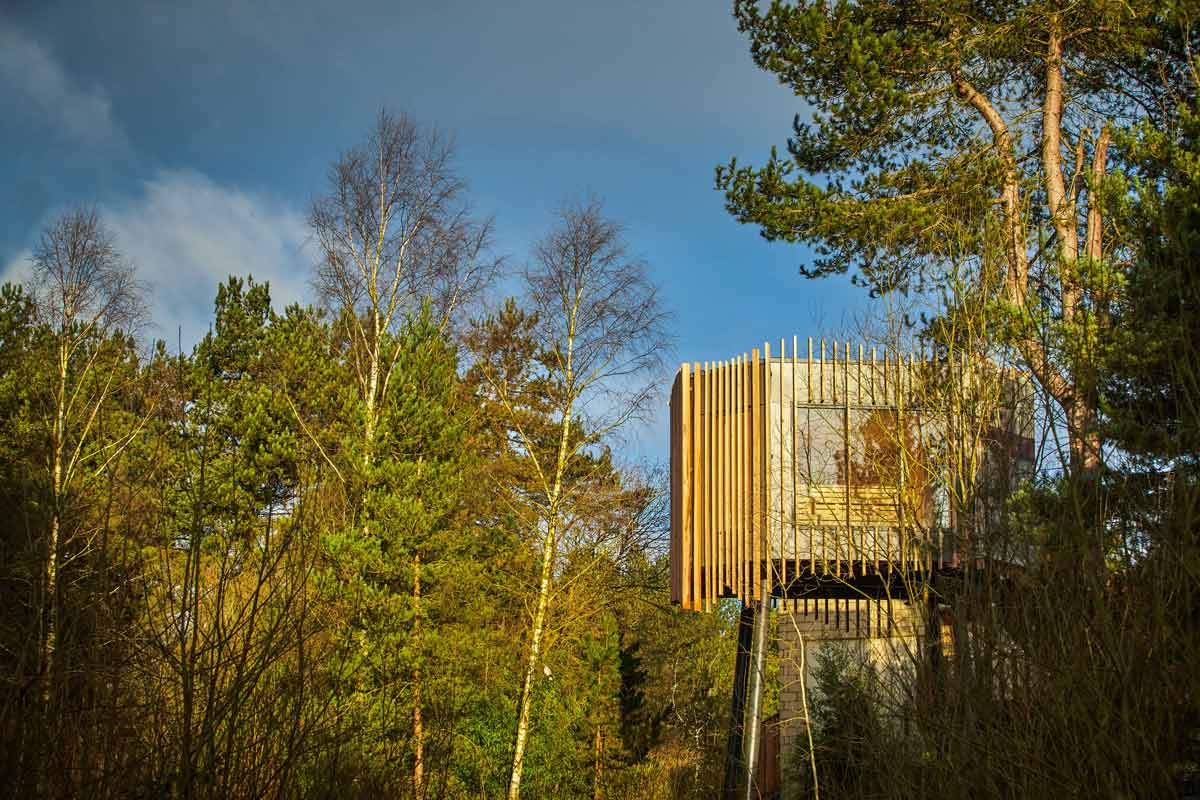 Exterior view of a treetop sauna with trees surrounding