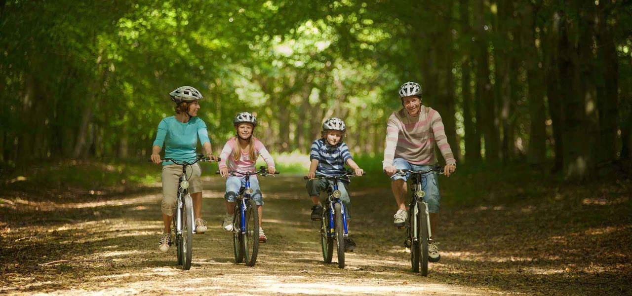 Family cycling through the forest with trees either side of them