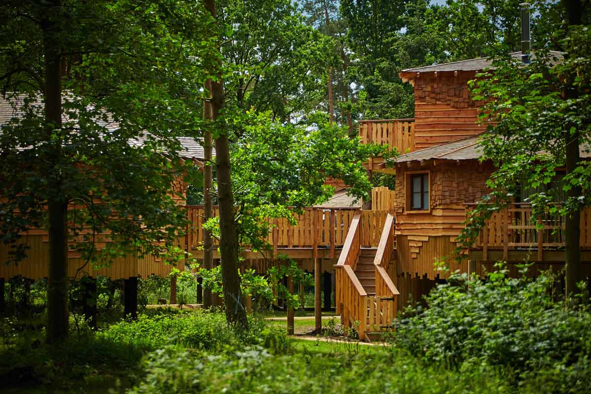 Treehouse surrounded by trees