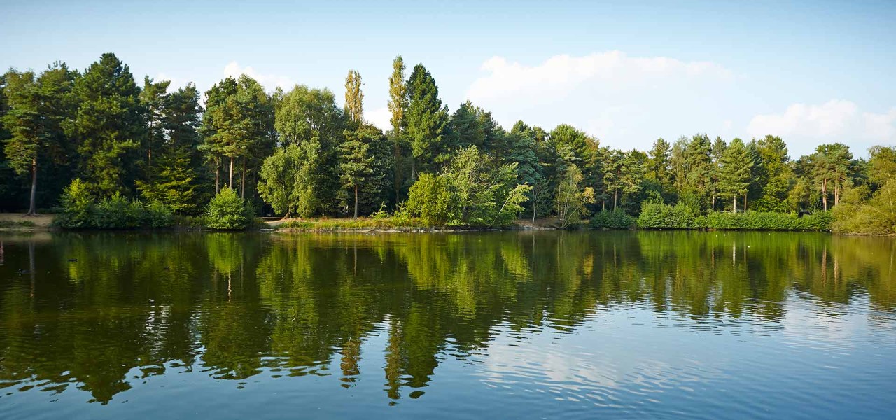 Image of lake with forest in the distance and reflection of the forest in the water