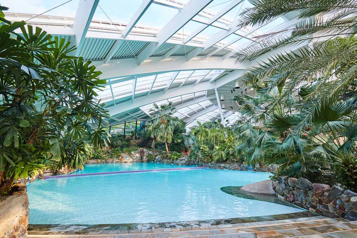 Inside the Subtropical Swimming Paradise at Longford Forest, main pool with tropical trees