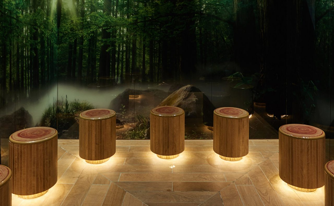 Inside Forest Glade sauna
