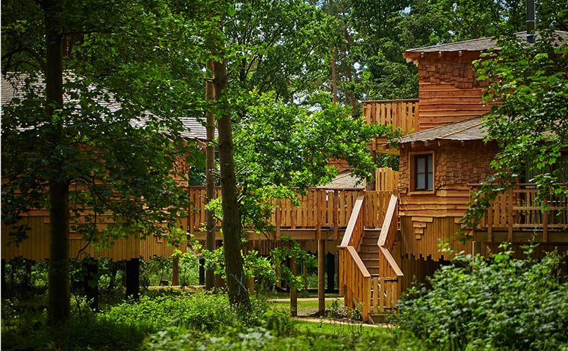 Elevated wooden treehouses rise on stilts, connected by railings and a central staircase, surrounded by dense leafy forest with sunlight filtering through trunks and undergrowth.