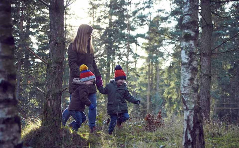 Mother and two sons holding hands walking through the forest