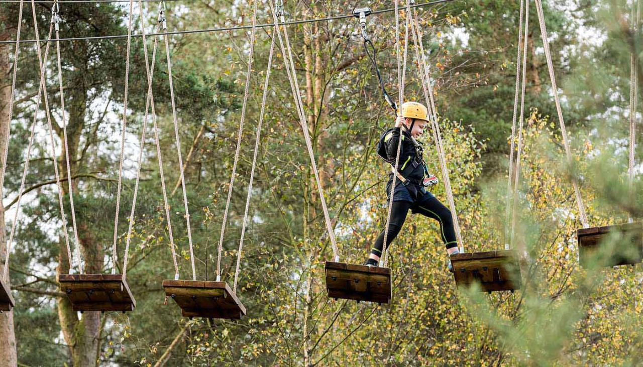 Boy on aerial adventure obstacle course up in the tree tops